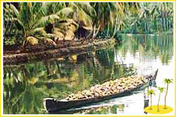 Thiruvallam_Backwaters (14)